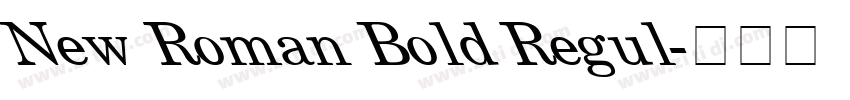 New Roman Bold Regul字体转换